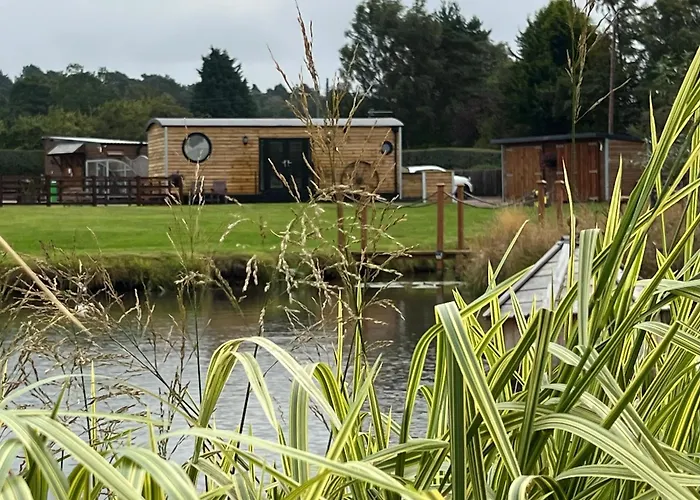 Ye Old Lambing Lodge - Spring Paddock
